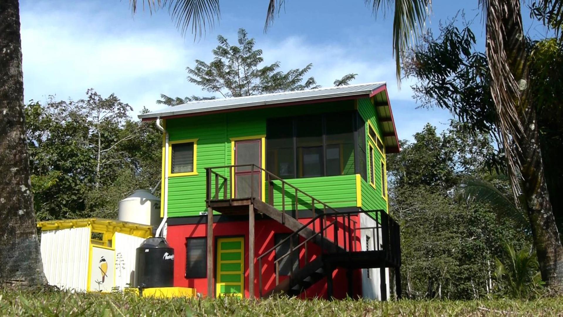 Lower Dover Jungle Lodge & Maya Ruins Unitedville Quarto foto